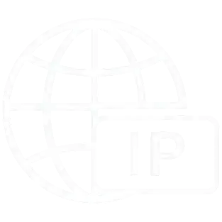 Static IP option icon