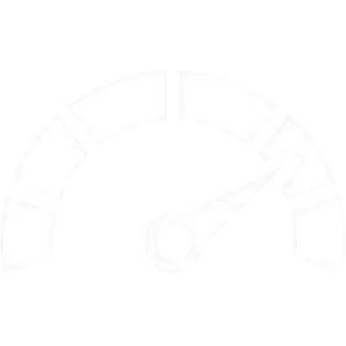 Real speeds icon